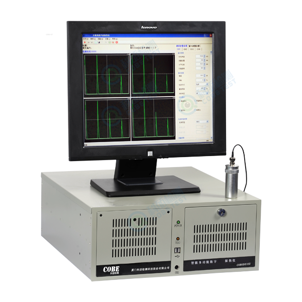 Intelligent Digital Multi-channel Ultrasonic detector